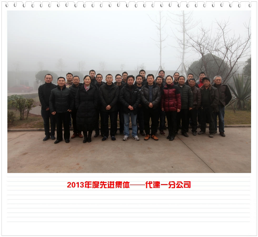 匯東股份2013年先進(jìn)集體及先進(jìn)個(gè)人（圖片展）